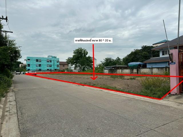 ประกาศฟรี! ซื้อ-ขาย-เช่า คอนโด บ้าน ทาวน์โฮม ที่ดิน และพื้นที่เชิงพาณิชย์ทั่วประเทศไทย ทุกทำเล ทุกงบประมาณ ไม่มีค่าใช้จ่าย ลงง่าย ขายไว เข้าถึงผู้ซื้อโดยตรง 3 504912pic2.jpg