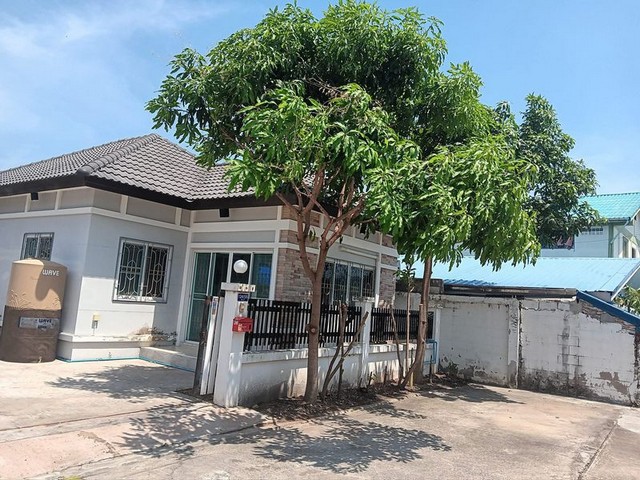 ประกาศฟรี! ซื้อ-ขาย-เช่า คอนโด บ้าน ทาวน์โฮม ที่ดิน และพื้นที่เชิงพาณิชย์ทั่วประเทศไทย ทุกทำเล ทุกงบประมาณ ไม่มีค่าใช้จ่าย ลงง่าย ขายไว เข้าถึงผู้ซื้อโดยตรง 2 293947pic1.jpg