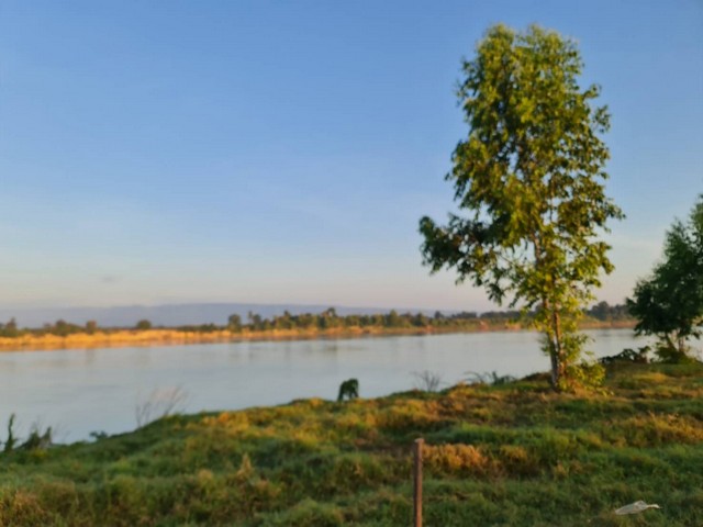 ประกาศฟรี! ซื้อ-ขาย-เช่า คอนโด บ้าน ทาวน์โฮม ที่ดิน และพื้นที่เชิงพาณิชย์ทั่วประเทศไทย ทุกทำเล ทุกงบประมาณ ไม่มีค่าใช้จ่าย ลงง่าย ขายไว เข้าถึงผู้ซื้อโดยตรง 2 7402pic1.jpg