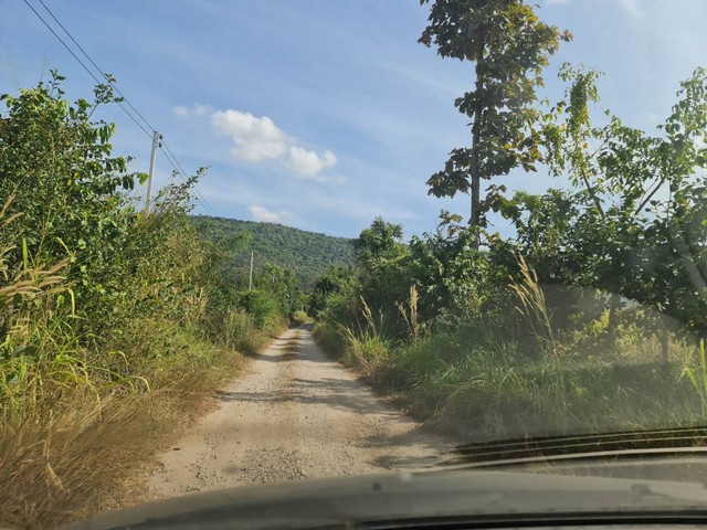 ประกาศฟรี! ซื้อ-ขาย-เช่า คอนโด บ้าน ทาวน์โฮม ที่ดิน และพื้นที่เชิงพาณิชย์ทั่วประเทศไทย ทุกทำเล ทุกงบประมาณ ไม่มีค่าใช้จ่าย ลงง่าย ขายไว เข้าถึงผู้ซื้อโดยตรง 3 7402pic2.jpg