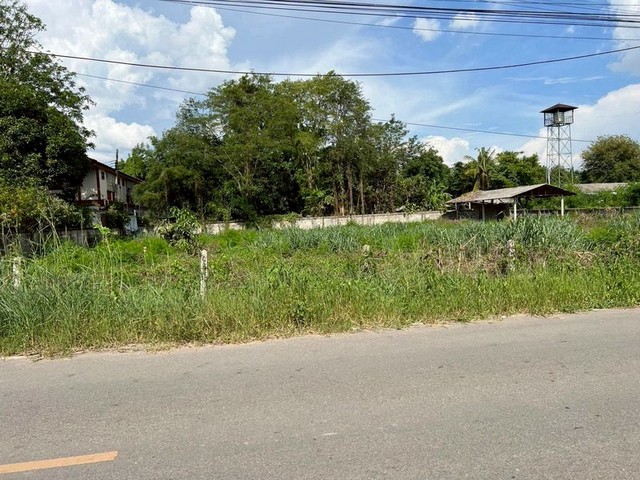 ประกาศฟรี! ซื้อ-ขาย-เช่า คอนโด บ้าน ทาวน์โฮม ที่ดิน และพื้นที่เชิงพาณิชย์ทั่วประเทศไทย ทุกทำเล ทุกงบประมาณ ไม่มีค่าใช้จ่าย ลงง่าย ขายไว เข้าถึงผู้ซื้อโดยตรง 2 235360pic1.jpg