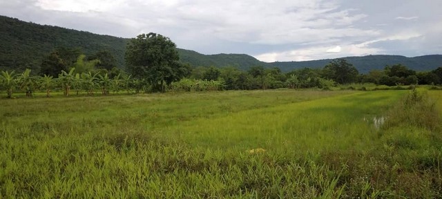 ประกาศฟรี! ซื้อ-ขาย-เช่า คอนโด บ้าน ทาวน์โฮม ที่ดิน และพื้นที่เชิงพาณิชย์ทั่วประเทศไทย ทุกทำเล ทุกงบประมาณ ไม่มีค่าใช้จ่าย ลงง่าย ขายไว เข้าถึงผู้ซื้อโดยตรง 4 7383pic3.jpg