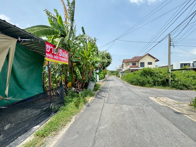 ประกาศฟรี! ซื้อ-ขาย-เช่า คอนโด บ้าน ทาวน์โฮม ที่ดิน และพื้นที่เชิงพาณิชย์ทั่วประเทศไทย ทุกทำเล ทุกงบประมาณ ไม่มีค่าใช้จ่าย ลงง่าย ขายไว เข้าถึงผู้ซื้อโดยตรง 4 308021pic3.jpg