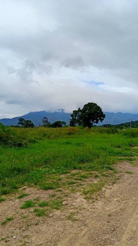 ประกาศฟรี! ซื้อ-ขาย-เช่า คอนโด บ้าน ทาวน์โฮม ที่ดิน และพื้นที่เชิงพาณิชย์ทั่วประเทศไทย ทุกทำเล ทุกงบประมาณ ไม่มีค่าใช้จ่าย ลงง่าย ขายไว เข้าถึงผู้ซื้อโดยตรง 4 308030pic3.jpg