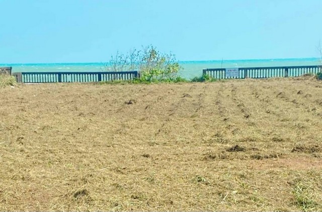 ประกาศฟรี! ซื้อ-ขาย-เช่า คอนโด บ้าน ทาวน์โฮม ที่ดิน และพื้นที่เชิงพาณิชย์ทั่วประเทศไทย ทุกทำเล ทุกงบประมาณ ไม่มีค่าใช้จ่าย ลงง่าย ขายไว เข้าถึงผู้ซื้อโดยตรง 2 7365pic1.jpg