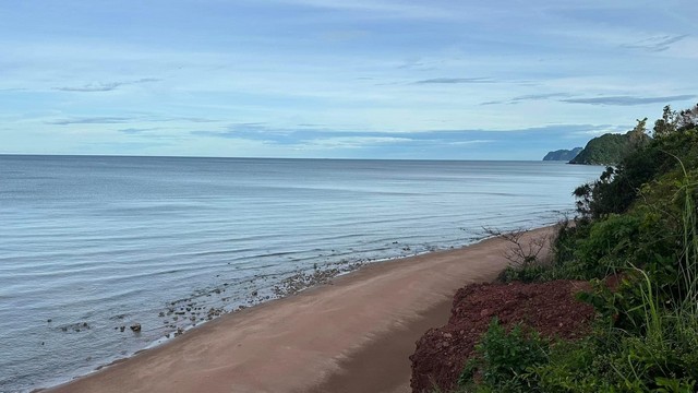 ประกาศฟรี! ซื้อ-ขาย-เช่า คอนโด บ้าน ทาวน์โฮม ที่ดิน และพื้นที่เชิงพาณิชย์ทั่วประเทศไทย ทุกทำเล ทุกงบประมาณ ไม่มีค่าใช้จ่าย ลงง่าย ขายไว เข้าถึงผู้ซื้อโดยตรง 2 12622pic1.jpg