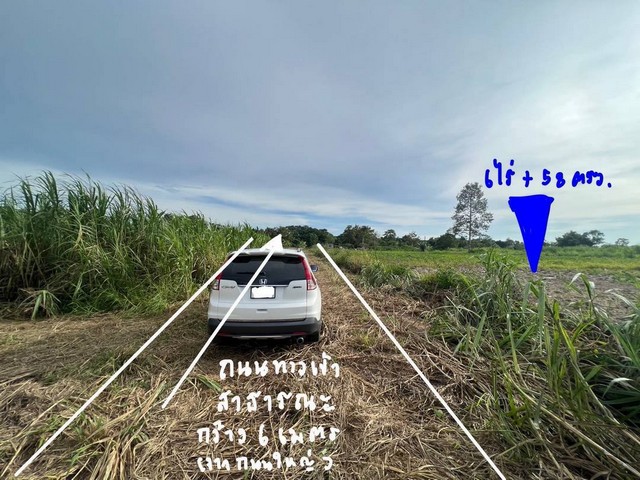 ประกาศฟรี! ซื้อ-ขาย-เช่า คอนโด บ้าน ทาวน์โฮม ที่ดิน และพื้นที่เชิงพาณิชย์ทั่วประเทศไทย ทุกทำเล ทุกงบประมาณ ไม่มีค่าใช้จ่าย ลงง่าย ขายไว เข้าถึงผู้ซื้อโดยตรง 5 235499pic4.jpg