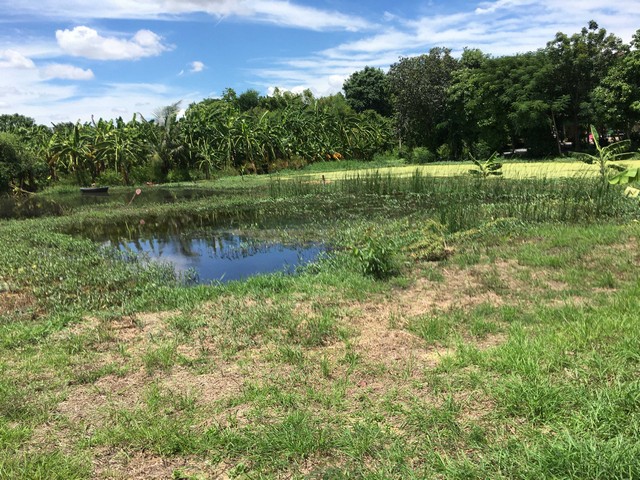 ประกาศฟรี! ซื้อ-ขาย-เช่า คอนโด บ้าน ทาวน์โฮม ที่ดิน และพื้นที่เชิงพาณิชย์ทั่วประเทศไทย ทุกทำเล ทุกงบประมาณ ไม่มีค่าใช้จ่าย ลงง่าย ขายไว เข้าถึงผู้ซื้อโดยตรง 3 308101pic2.jpg