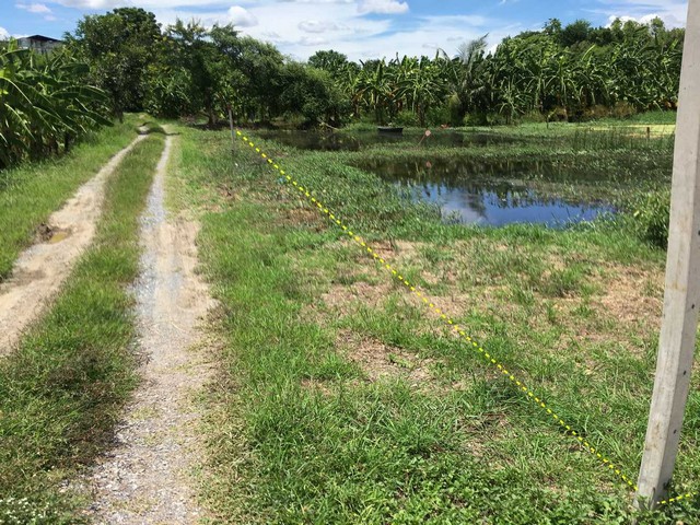 ประกาศฟรี! ซื้อ-ขาย-เช่า คอนโด บ้าน ทาวน์โฮม ที่ดิน และพื้นที่เชิงพาณิชย์ทั่วประเทศไทย ทุกทำเล ทุกงบประมาณ ไม่มีค่าใช้จ่าย ลงง่าย ขายไว เข้าถึงผู้ซื้อโดยตรง 4 308101pic3.jpg