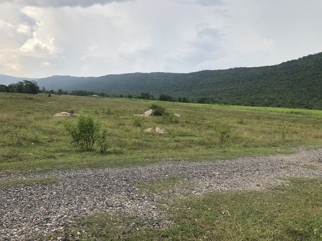 ประกาศฟรี! ซื้อ-ขาย-เช่า คอนโด บ้าน ทาวน์โฮม ที่ดิน และพื้นที่เชิงพาณิชย์ทั่วประเทศไทย ทุกทำเล ทุกงบประมาณ ไม่มีค่าใช้จ่าย ลงง่าย ขายไว เข้าถึงผู้ซื้อโดยตรง 2 7383pic1.jpg