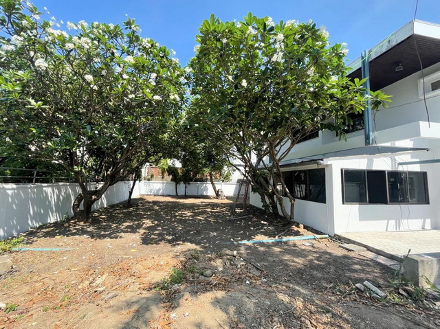 ประกาศฟรี! ซื้อ-ขาย-เช่า คอนโด บ้าน ทาวน์โฮม ที่ดิน และพื้นที่เชิงพาณิชย์ทั่วประเทศไทย ทุกทำเล ทุกงบประมาณ ไม่มีค่าใช้จ่าย ลงง่าย ขายไว เข้าถึงผู้ซื้อโดยตรง 4 308107pic3.jpg