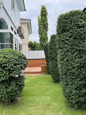 ประกาศฟรี! ซื้อ-ขาย-เช่า คอนโด บ้าน ทาวน์โฮม ที่ดิน และพื้นที่เชิงพาณิชย์ทั่วประเทศไทย ทุกทำเล ทุกงบประมาณ ไม่มีค่าใช้จ่าย ลงง่าย ขายไว เข้าถึงผู้ซื้อโดยตรง 4 308155pic3.jpg