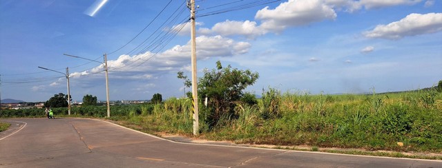 ประกาศฟรี! ซื้อ-ขาย-เช่า คอนโด บ้าน ทาวน์โฮม ที่ดิน และพื้นที่เชิงพาณิชย์ทั่วประเทศไทย ทุกทำเล ทุกงบประมาณ ไม่มีค่าใช้จ่าย ลงง่าย ขายไว เข้าถึงผู้ซื้อโดยตรง 4 308187pic3.jpg