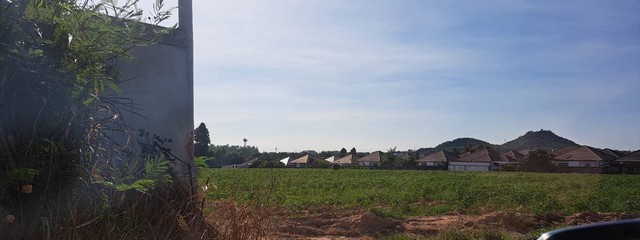 ประกาศฟรี! ซื้อ-ขาย-เช่า คอนโด บ้าน ทาวน์โฮม ที่ดิน และพื้นที่เชิงพาณิชย์ทั่วประเทศไทย ทุกทำเล ทุกงบประมาณ ไม่มีค่าใช้จ่าย ลงง่าย ขายไว เข้าถึงผู้ซื้อโดยตรง 5 308187pic4.jpg