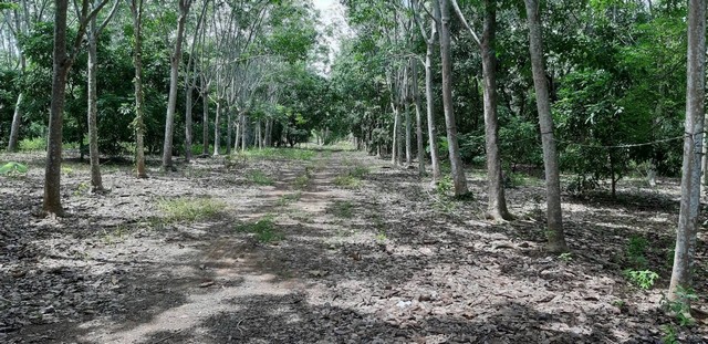 ประกาศฟรี! ซื้อ-ขาย-เช่า คอนโด บ้าน ทาวน์โฮม ที่ดิน และพื้นที่เชิงพาณิชย์ทั่วประเทศไทย ทุกทำเล ทุกงบประมาณ ไม่มีค่าใช้จ่าย ลงง่าย ขายไว เข้าถึงผู้ซื้อโดยตรง 4 308177pic3.jpg