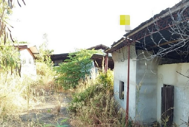 ประกาศฟรี! ซื้อ-ขาย-เช่า คอนโด บ้าน ทาวน์โฮม ที่ดิน และพื้นที่เชิงพาณิชย์ทั่วประเทศไทย ทุกทำเล ทุกงบประมาณ ไม่มีค่าใช้จ่าย ลงง่าย ขายไว เข้าถึงผู้ซื้อโดยตรง 3 210070pic2.jpg