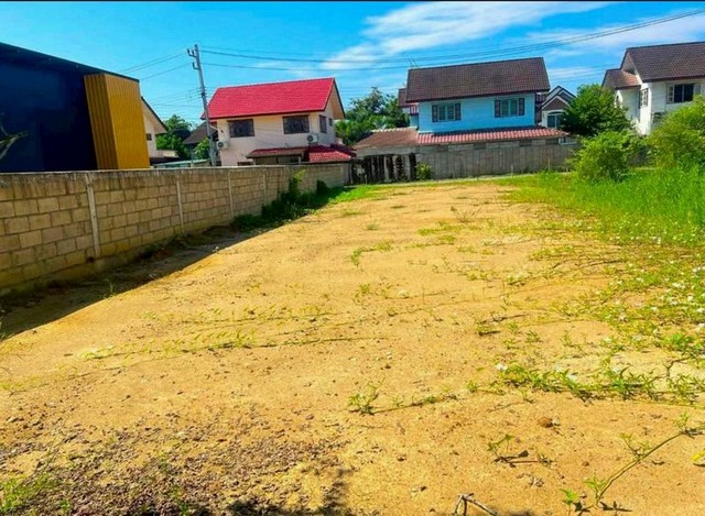 ประกาศฟรี! ซื้อ-ขาย-เช่า คอนโด บ้าน ทาวน์โฮม ที่ดิน และพื้นที่เชิงพาณิชย์ทั่วประเทศไทย ทุกทำเล ทุกงบประมาณ ไม่มีค่าใช้จ่าย ลงง่าย ขายไว เข้าถึงผู้ซื้อโดยตรง 5 235788pic4.jpg