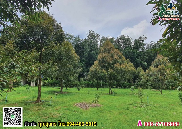 ประกาศฟรี! ซื้อ-ขาย-เช่า คอนโด บ้าน ทาวน์โฮม ที่ดิน และพื้นที่เชิงพาณิชย์ทั่วประเทศไทย ทุกทำเล ทุกงบประมาณ ไม่มีค่าใช้จ่าย ลงง่าย ขายไว เข้าถึงผู้ซื้อโดยตรง 2 308233pic1.jpg