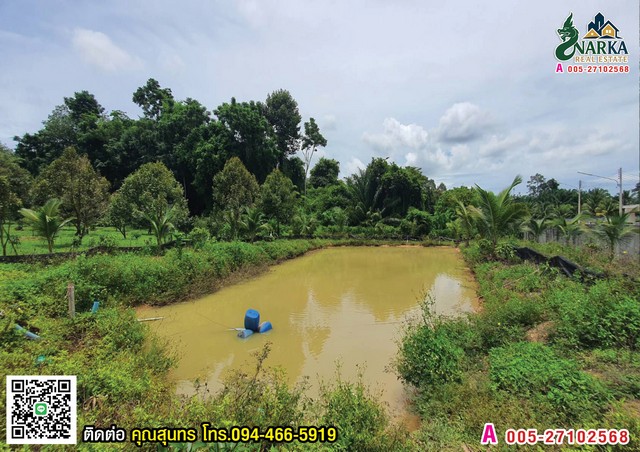 ประกาศฟรี! ซื้อ-ขาย-เช่า คอนโด บ้าน ทาวน์โฮม ที่ดิน และพื้นที่เชิงพาณิชย์ทั่วประเทศไทย ทุกทำเล ทุกงบประมาณ ไม่มีค่าใช้จ่าย ลงง่าย ขายไว เข้าถึงผู้ซื้อโดยตรง 3 308233pic2.jpg