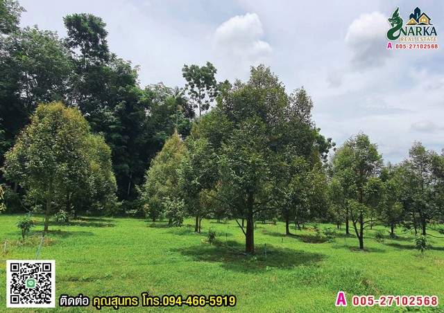 ประกาศฟรี! ซื้อ-ขาย-เช่า คอนโด บ้าน ทาวน์โฮม ที่ดิน และพื้นที่เชิงพาณิชย์ทั่วประเทศไทย ทุกทำเล ทุกงบประมาณ ไม่มีค่าใช้จ่าย ลงง่าย ขายไว เข้าถึงผู้ซื้อโดยตรง 4 308233pic3.jpg