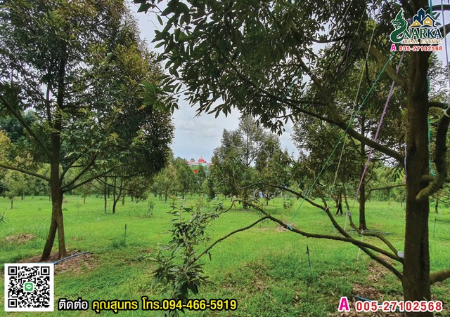 ประกาศฟรี! ซื้อ-ขาย-เช่า คอนโด บ้าน ทาวน์โฮม ที่ดิน และพื้นที่เชิงพาณิชย์ทั่วประเทศไทย ทุกทำเล ทุกงบประมาณ ไม่มีค่าใช้จ่าย ลงง่าย ขายไว เข้าถึงผู้ซื้อโดยตรง 5 308233pic4.jpg