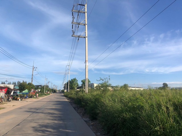 ประกาศฟรี! ซื้อ-ขาย-เช่า คอนโด บ้าน ทาวน์โฮม ที่ดิน และพื้นที่เชิงพาณิชย์ทั่วประเทศไทย ทุกทำเล ทุกงบประมาณ ไม่มีค่าใช้จ่าย ลงง่าย ขายไว เข้าถึงผู้ซื้อโดยตรง 3 308237pic2.jpg