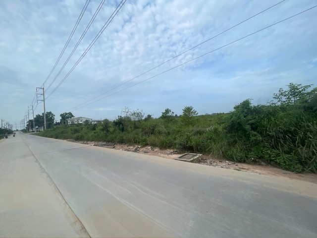 ประกาศฟรี! ซื้อ-ขาย-เช่า คอนโด บ้าน ทาวน์โฮม ที่ดิน และพื้นที่เชิงพาณิชย์ทั่วประเทศไทย ทุกทำเล ทุกงบประมาณ ไม่มีค่าใช้จ่าย ลงง่าย ขายไว เข้าถึงผู้ซื้อโดยตรง 5 308237pic4.jpg