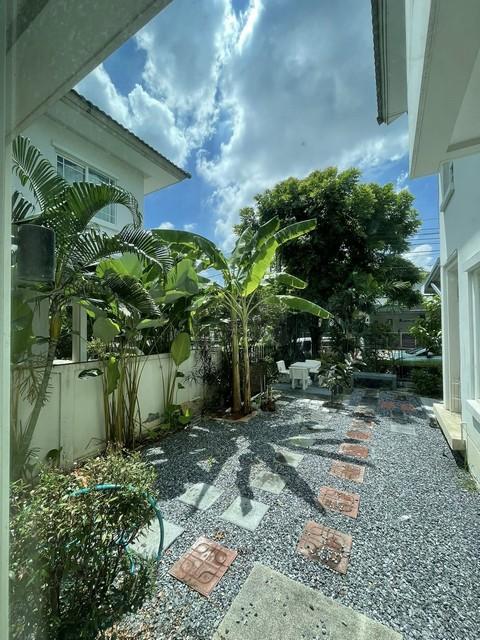 ประกาศฟรี! ซื้อ-ขาย-เช่า คอนโด บ้าน ทาวน์โฮม ที่ดิน และพื้นที่เชิงพาณิชย์ทั่วประเทศไทย ทุกทำเล ทุกงบประมาณ ไม่มีค่าใช้จ่าย ลงง่าย ขายไว เข้าถึงผู้ซื้อโดยตรง 3 505227pic2.jpg