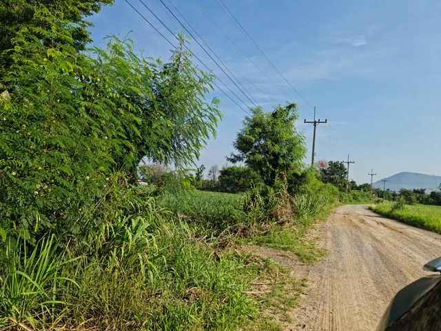 ประกาศฟรี! ซื้อ-ขาย-เช่า คอนโด บ้าน ทาวน์โฮม ที่ดิน และพื้นที่เชิงพาณิชย์ทั่วประเทศไทย ทุกทำเล ทุกงบประมาณ ไม่มีค่าใช้จ่าย ลงง่าย ขายไว เข้าถึงผู้ซื้อโดยตรง 5 294469pic4.jpg