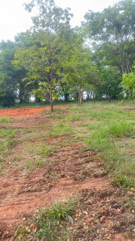 ประกาศฟรี! ซื้อ-ขาย-เช่า คอนโด บ้าน ทาวน์โฮม ที่ดิน และพื้นที่เชิงพาณิชย์ทั่วประเทศไทย ทุกทำเล ทุกงบประมาณ ไม่มีค่าใช้จ่าย ลงง่าย ขายไว เข้าถึงผู้ซื้อโดยตรง 3 12622pic2.jpg