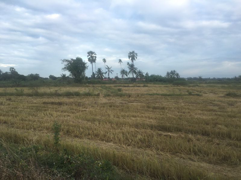 ประกาศฟรี! ซื้อ-ขาย-เช่า คอนโด บ้าน ทาวน์โฮม ที่ดิน และพื้นที่เชิงพาณิชย์ทั่วประเทศไทย ทุกทำเล ทุกงบประมาณ ไม่มีค่าใช้จ่าย ลงง่าย ขายไว เข้าถึงผู้ซื้อโดยตรง 5 308301pic4.jpg