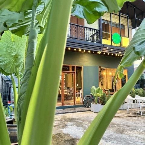 ประกาศฟรี! ซื้อ-ขาย-เช่า คอนโด บ้าน ทาวน์โฮม ที่ดิน และพื้นที่เชิงพาณิชย์ทั่วประเทศไทย ทุกทำเล ทุกงบประมาณ ไม่มีค่าใช้จ่าย ลงง่าย ขายไว เข้าถึงผู้ซื้อโดยตรง 3 504989pic2.jpg