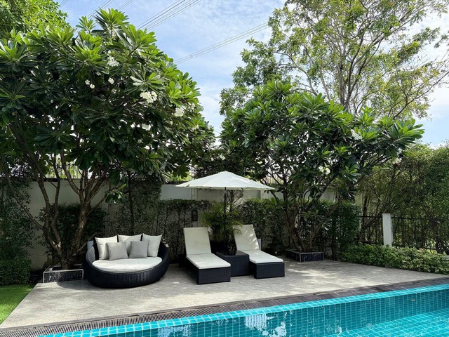 ประกาศฟรี! ซื้อ-ขาย-เช่า คอนโด บ้าน ทาวน์โฮม ที่ดิน และพื้นที่เชิงพาณิชย์ทั่วประเทศไทย ทุกทำเล ทุกงบประมาณ ไม่มีค่าใช้จ่าย ลงง่าย ขายไว เข้าถึงผู้ซื้อโดยตรง 4 505379pic3.jpg