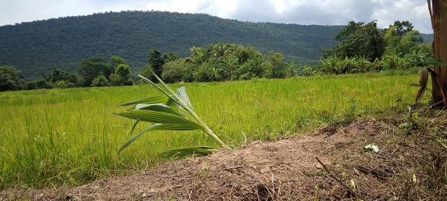 ประกาศฟรี! ซื้อ-ขาย-เช่า คอนโด บ้าน ทาวน์โฮม ที่ดิน และพื้นที่เชิงพาณิชย์ทั่วประเทศไทย ทุกทำเล ทุกงบประมาณ ไม่มีค่าใช้จ่าย ลงง่าย ขายไว เข้าถึงผู้ซื้อโดยตรง 2 7383pic1.jpg