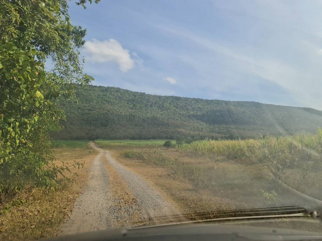 ประกาศฟรี! ซื้อ-ขาย-เช่า คอนโด บ้าน ทาวน์โฮม ที่ดิน และพื้นที่เชิงพาณิชย์ทั่วประเทศไทย ทุกทำเล ทุกงบประมาณ ไม่มีค่าใช้จ่าย ลงง่าย ขายไว เข้าถึงผู้ซื้อโดยตรง 5 7383pic4.jpg