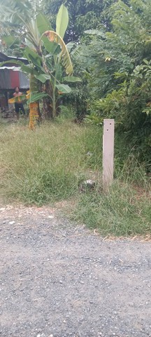 ประกาศฟรี! ซื้อ-ขาย-เช่า คอนโด บ้าน ทาวน์โฮม ที่ดิน และพื้นที่เชิงพาณิชย์ทั่วประเทศไทย ทุกทำเล ทุกงบประมาณ ไม่มีค่าใช้จ่าย ลงง่าย ขายไว เข้าถึงผู้ซื้อโดยตรง 2 7372pic1.jpg