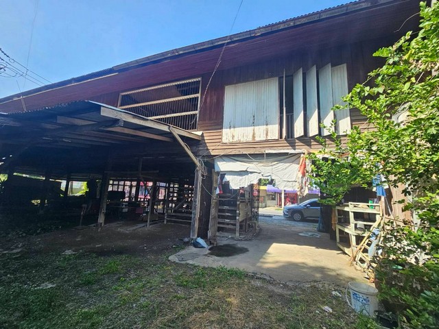 ประกาศฟรี! ซื้อ-ขาย-เช่า คอนโด บ้าน ทาวน์โฮม ที่ดิน และพื้นที่เชิงพาณิชย์ทั่วประเทศไทย ทุกทำเล ทุกงบประมาณ ไม่มีค่าใช้จ่าย ลงง่าย ขายไว เข้าถึงผู้ซื้อโดยตรง 5 308440pic4.jpg