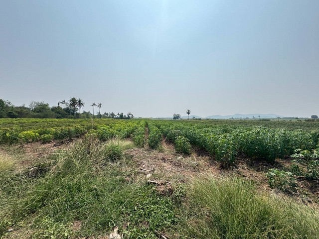 ประกาศฟรี! ซื้อ-ขาย-เช่า คอนโด บ้าน ทาวน์โฮม ที่ดิน และพื้นที่เชิงพาณิชย์ทั่วประเทศไทย ทุกทำเล ทุกงบประมาณ ไม่มีค่าใช้จ่าย ลงง่าย ขายไว เข้าถึงผู้ซื้อโดยตรง 5 308461pic4.jpg