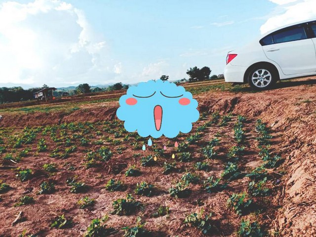 ประกาศฟรี! ซื้อ-ขาย-เช่า คอนโด บ้าน ทาวน์โฮม ที่ดิน และพื้นที่เชิงพาณิชย์ทั่วประเทศไทย ทุกทำเล ทุกงบประมาณ ไม่มีค่าใช้จ่าย ลงง่าย ขายไว เข้าถึงผู้ซื้อโดยตรง 4 7374pic3.jpg