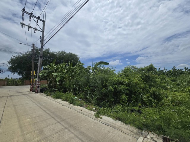 ประกาศฟรี! ซื้อ-ขาย-เช่า คอนโด บ้าน ทาวน์โฮม ที่ดิน และพื้นที่เชิงพาณิชย์ทั่วประเทศไทย ทุกทำเล ทุกงบประมาณ ไม่มีค่าใช้จ่าย ลงง่าย ขายไว เข้าถึงผู้ซื้อโดยตรง 2 498440pic1.jpg