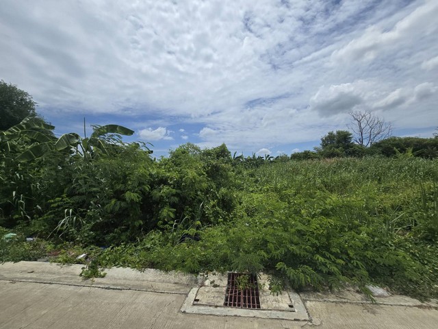 ประกาศฟรี! ซื้อ-ขาย-เช่า คอนโด บ้าน ทาวน์โฮม ที่ดิน และพื้นที่เชิงพาณิชย์ทั่วประเทศไทย ทุกทำเล ทุกงบประมาณ ไม่มีค่าใช้จ่าย ลงง่าย ขายไว เข้าถึงผู้ซื้อโดยตรง 5 498440pic4.jpg