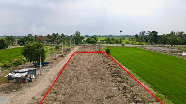 ประกาศฟรี! ซื้อ-ขาย-เช่า คอนโด บ้าน ทาวน์โฮม ที่ดิน และพื้นที่เชิงพาณิชย์ทั่วประเทศไทย ทุกทำเล ทุกงบประมาณ ไม่มีค่าใช้จ่าย ลงง่าย ขายไว เข้าถึงผู้ซื้อโดยตรง 4 273397pic3.jpg