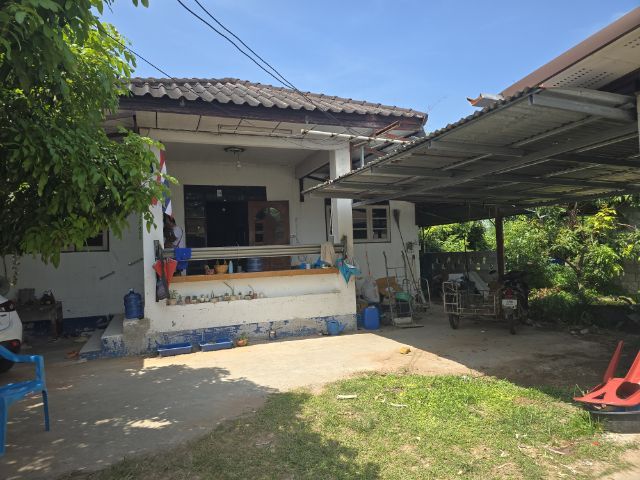 ประกาศฟรี! ซื้อ-ขาย-เช่า คอนโด บ้าน ทาวน์โฮม ที่ดิน และพื้นที่เชิงพาณิชย์ทั่วประเทศไทย ทุกทำเล ทุกงบประมาณ ไม่มีค่าใช้จ่าย ลงง่าย ขายไว เข้าถึงผู้ซื้อโดยตรง 3 308427pic2.jpg