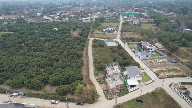 ประกาศฟรี! ซื้อ-ขาย-เช่า คอนโด บ้าน ทาวน์โฮม ที่ดิน และพื้นที่เชิงพาณิชย์ทั่วประเทศไทย ทุกทำเล ทุกงบประมาณ ไม่มีค่าใช้จ่าย ลงง่าย ขายไว เข้าถึงผู้ซื้อโดยตรง 5 218641pic4.jpg