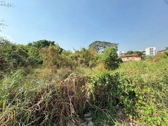 ประกาศฟรี! ซื้อ-ขาย-เช่า คอนโด บ้าน ทาวน์โฮม ที่ดิน และพื้นที่เชิงพาณิชย์ทั่วประเทศไทย ทุกทำเล ทุกงบประมาณ ไม่มีค่าใช้จ่าย ลงง่าย ขายไว เข้าถึงผู้ซื้อโดยตรง 4 308530pic3.jpg