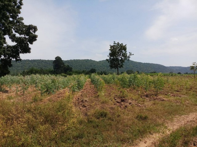 ประกาศฟรี! ซื้อ-ขาย-เช่า คอนโด บ้าน ทาวน์โฮม ที่ดิน และพื้นที่เชิงพาณิชย์ทั่วประเทศไทย ทุกทำเล ทุกงบประมาณ ไม่มีค่าใช้จ่าย ลงง่าย ขายไว เข้าถึงผู้ซื้อโดยตรง 4 292423pic3.jpg