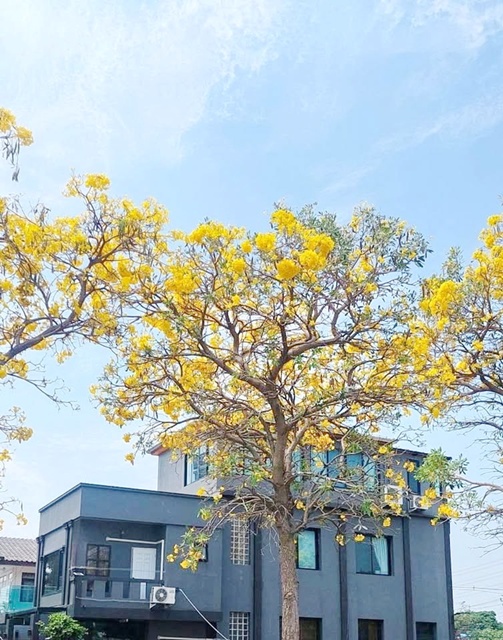 ประกาศฟรี! ซื้อ-ขาย-เช่า คอนโด บ้าน ทาวน์โฮม ที่ดิน และพื้นที่เชิงพาณิชย์ทั่วประเทศไทย ทุกทำเล ทุกงบประมาณ ไม่มีค่าใช้จ่าย ลงง่าย ขายไว เข้าถึงผู้ซื้อโดยตรง 2 308413pic1.jpg