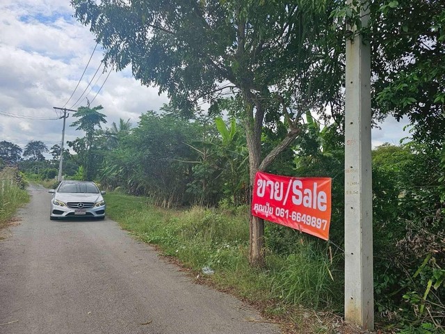 ประกาศฟรี! ซื้อ-ขาย-เช่า คอนโด บ้าน ทาวน์โฮม ที่ดิน และพื้นที่เชิงพาณิชย์ทั่วประเทศไทย ทุกทำเล ทุกงบประมาณ ไม่มีค่าใช้จ่าย ลงง่าย ขายไว เข้าถึงผู้ซื้อโดยตรง 5 308580pic4.jpg