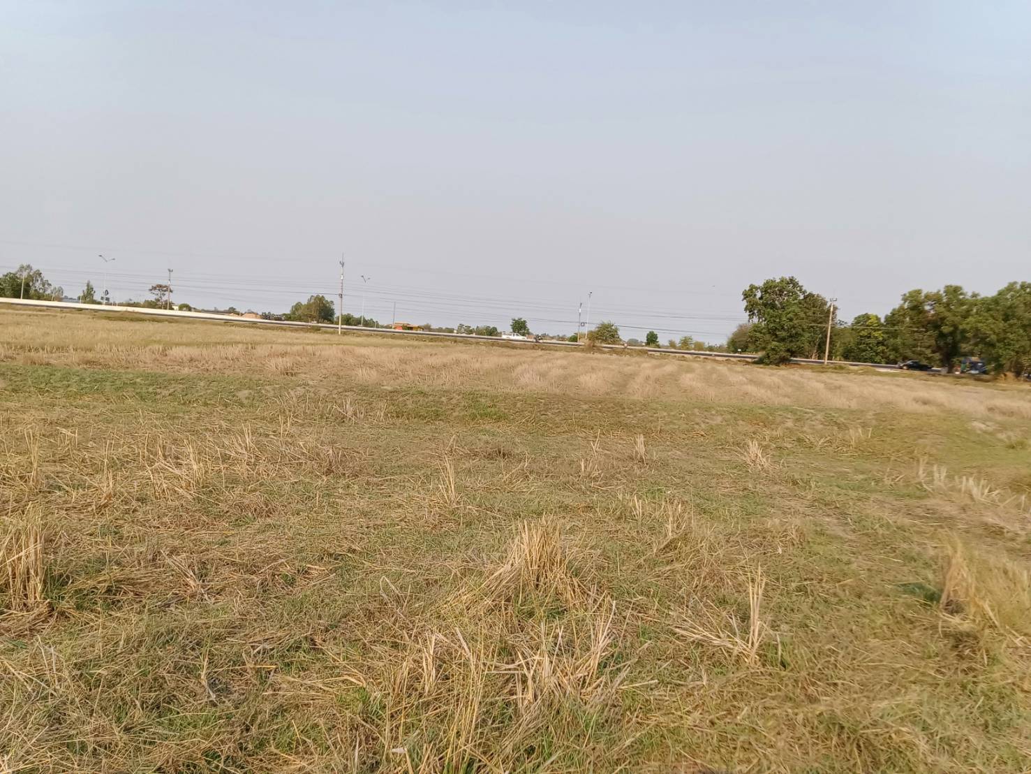 ประกาศฟรี! ซื้อ-ขาย-เช่า คอนโด บ้าน ทาวน์โฮม ที่ดิน และพื้นที่เชิงพาณิชย์ทั่วประเทศไทย ทุกทำเล ทุกงบประมาณ ไม่มีค่าใช้จ่าย ลงง่าย ขายไว เข้าถึงผู้ซื้อโดยตรง 5 292375pic4.jpg