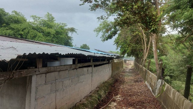 ประกาศฟรี! ซื้อ-ขาย-เช่า คอนโด บ้าน ทาวน์โฮม ที่ดิน และพื้นที่เชิงพาณิชย์ทั่วประเทศไทย ทุกทำเล ทุกงบประมาณ ไม่มีค่าใช้จ่าย ลงง่าย ขายไว เข้าถึงผู้ซื้อโดยตรง 3 236716pic2.jpg